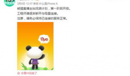 吃瓜爆料兔圈大神视频,吃瓜爆料背后的真相与内幕