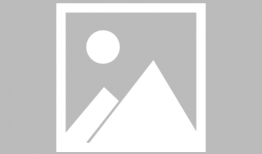 妲己Toxic视频,揭秘网络暴力背后的黑暗面